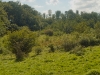 sdim1232