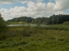 sdim1234
