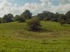 sdim1248