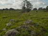 sdim1255