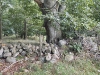 sdim1257