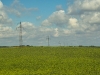 sdim1271