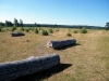 DSCF2087