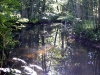 DSCF2106