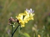 DSCF2120