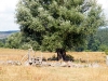 DSCF2123
