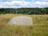 DSCF2127