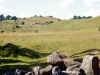 DSCF2136