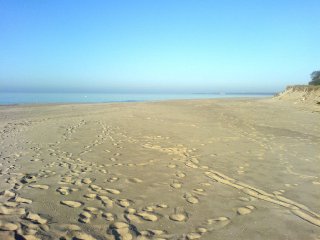 ystad-sandskog-nybroans-mynining-i.jpg