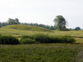 dscf3344 dscf3344