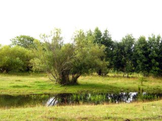 dscf3434 dscf3434