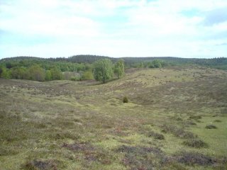 boljande-hed.jpg