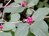 dscf3453