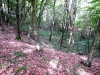 dscf3462