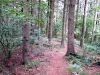dscf3466