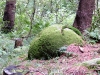 dscf3467