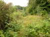 dscf3469