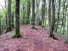 dscf3472