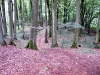 dscf3474