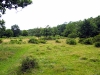 dscf3476