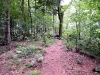 dscf3479