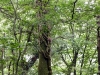 dscf3480