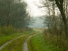 sdim2187