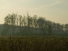 sdim2198