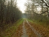 sdim2207