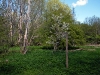 dscf3115