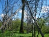 dscf3117