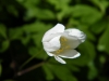 dscf3119
