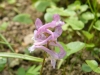 dscf3125