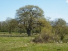 dscf3131