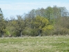 dscf3133