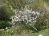 dscf3138