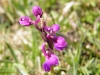 dscf3141