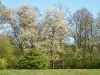 dscf3146