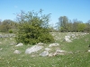 dscf3153