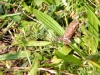 dscf2285