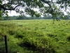 dscf2298