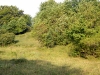 dscf2301