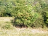 dscf2307