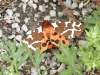 DSCF2169