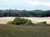 DSCF2189