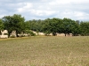 DSCF2193