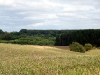 DSCF2194