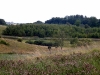 DSCF2203