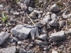 S0102211