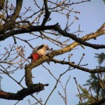 bild-398 bild-398